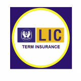 கால காப்பீடு (Term Insurance)