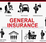 An Introduction : General Insurance